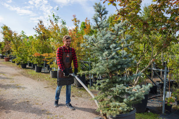 Lawn Watering Services in West Clarkston Highland, WA